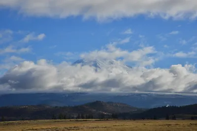 DSC_5881 (Large).JPG